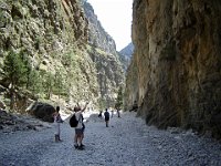 Photo 201